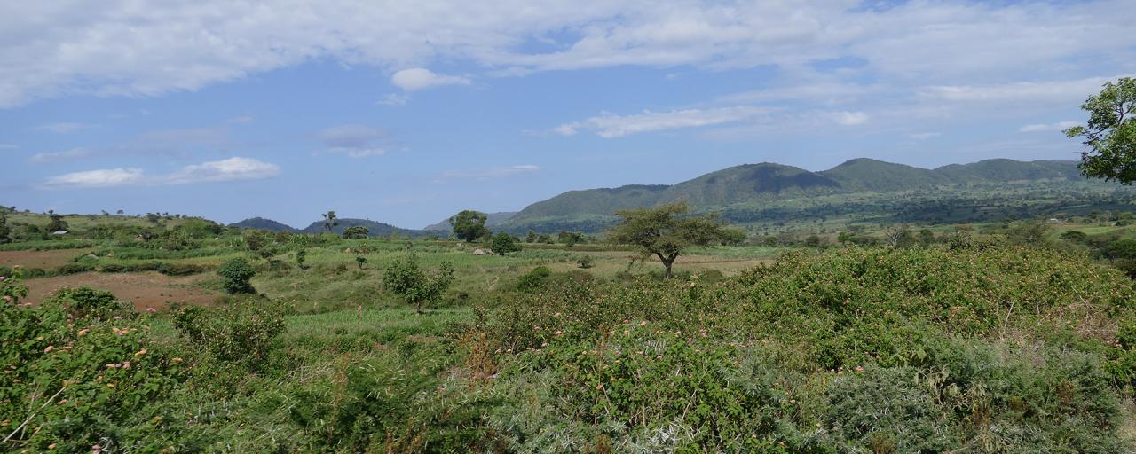 etiopia ethiopia exploringafrica safariadv travel omo valley mursi hamar kara dassanech konso 