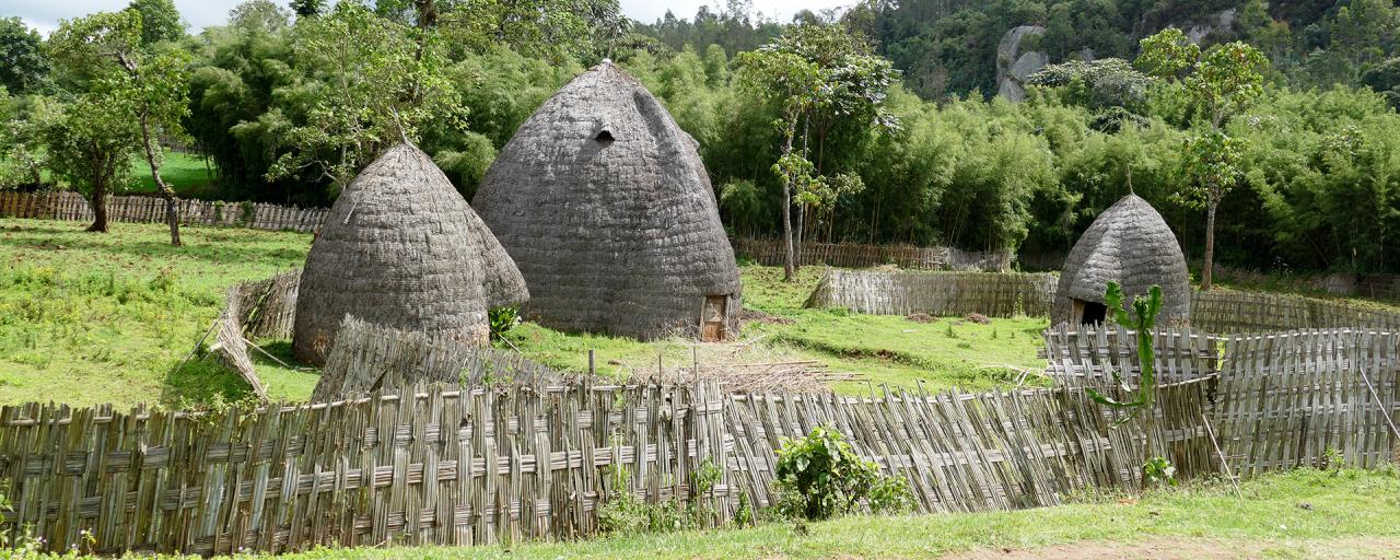 Dorze Village - Photo Credits: Romina Facchi dorze village ethiopia