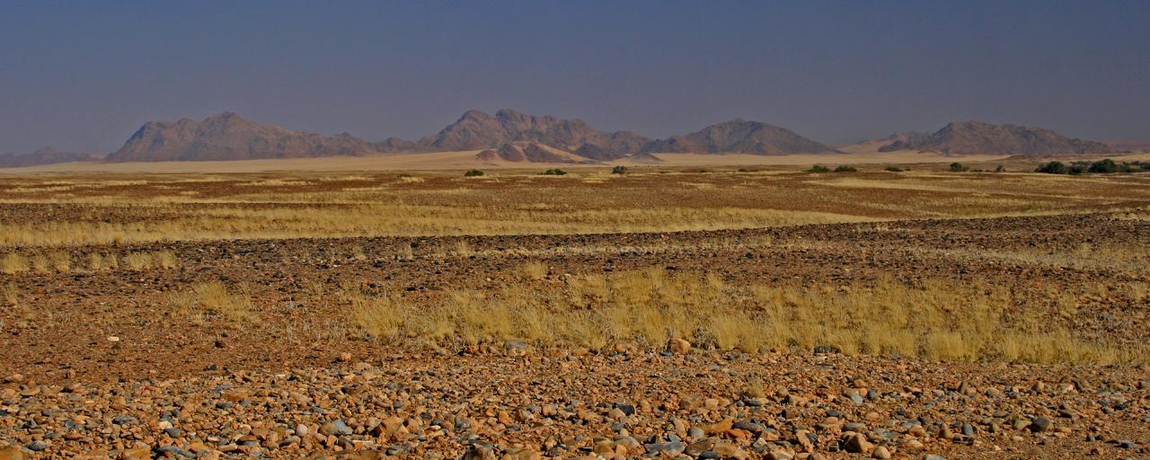 Namib desert Namibia desert exploringafrica safariafv safari rominafacchi namib