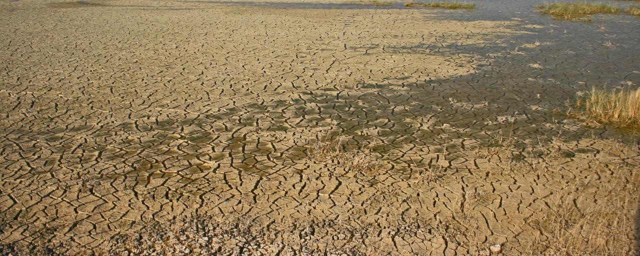 Etosha National Park: Etosha Pan etosha pan romina facchi exploringafrica safariadv travel viaggi
