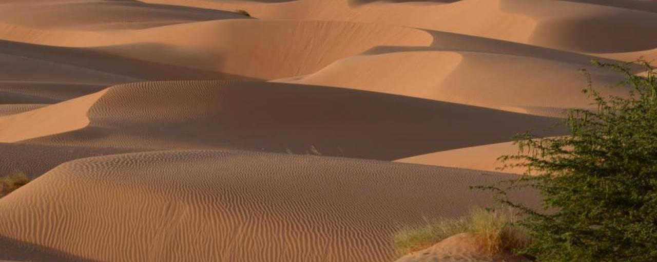 Transafricana: Sahara Desert transafricana desert exploringafrica safariadv viaggio travel africa expedition