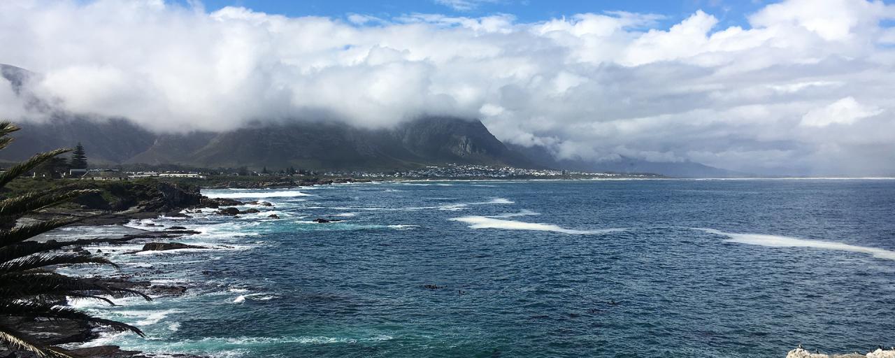 South Africa: Hermanus exploringafrica safariafv safari romina facchi hermanus south africa