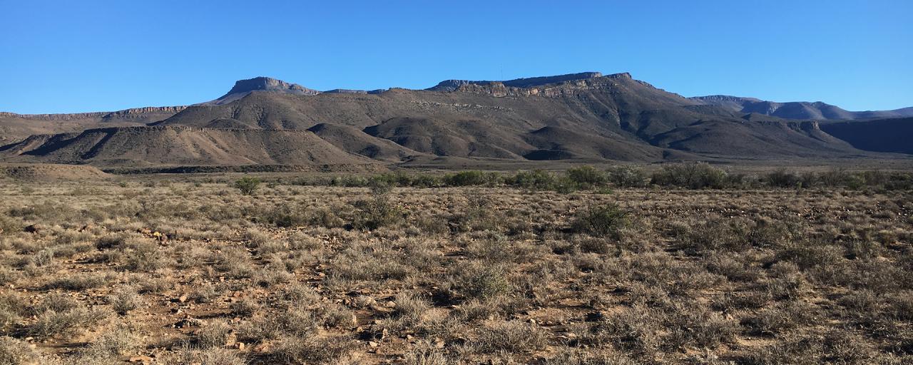 Karoo National Park karoo exploringafrica safariadv romina facchi southafrica travel