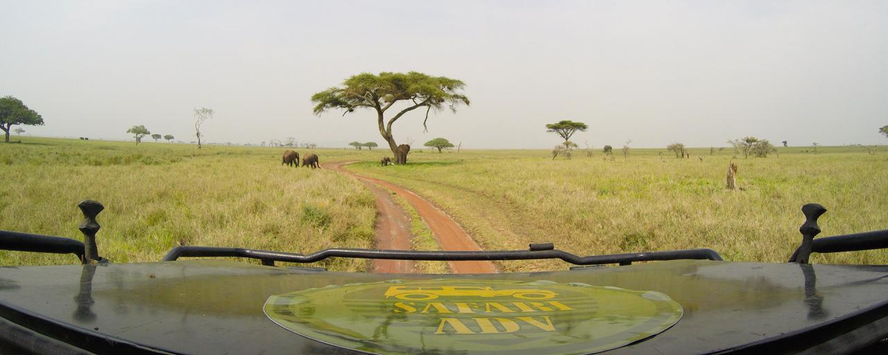 On the road tanzania ngorongoro serengeti tarangire manyara exploringafrica safariadv romina facchi travel safari