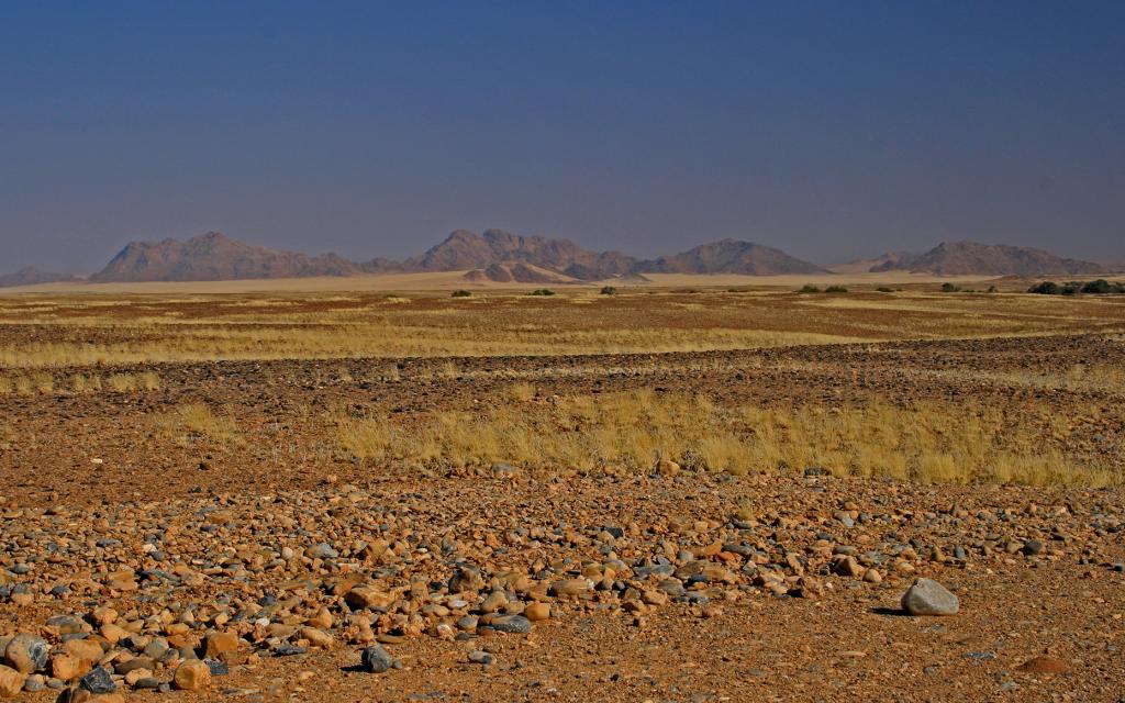 Namibia desert exploringafrica safariafv safari rominafacchi namib 