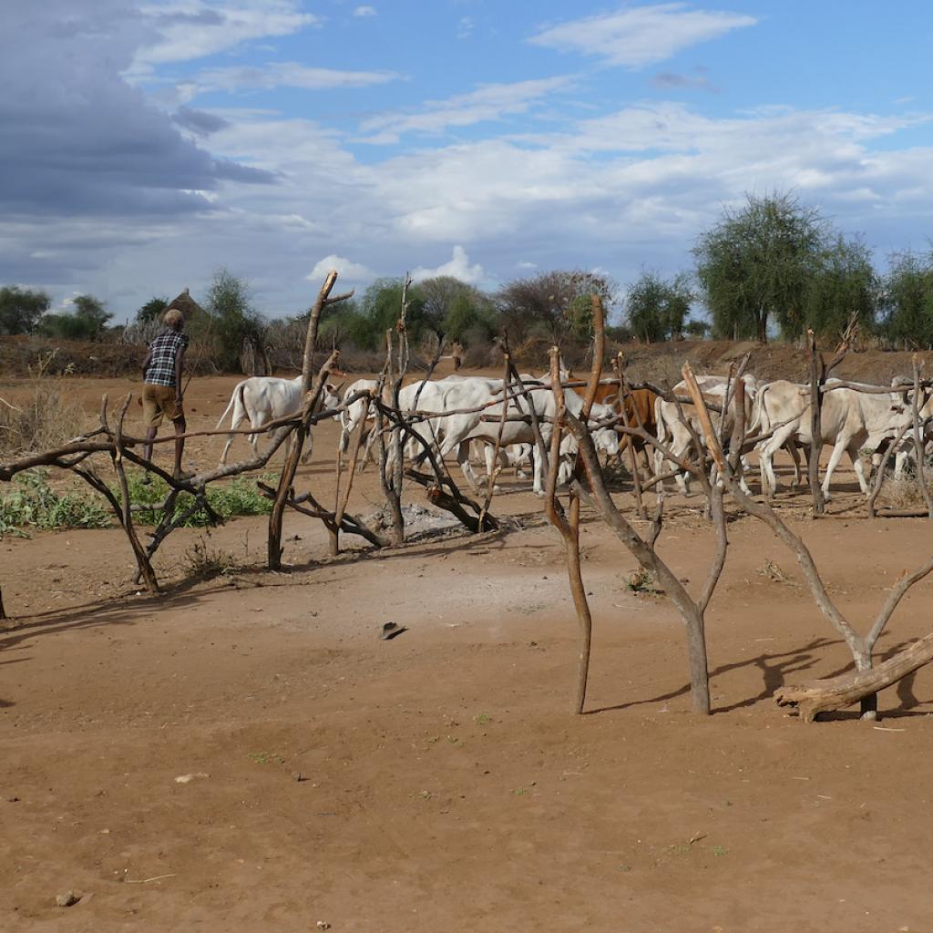 etiopia ethiopia exploringafrica safariadv travel omo valley dorze hamar kara dassanech konso ssanech konso 