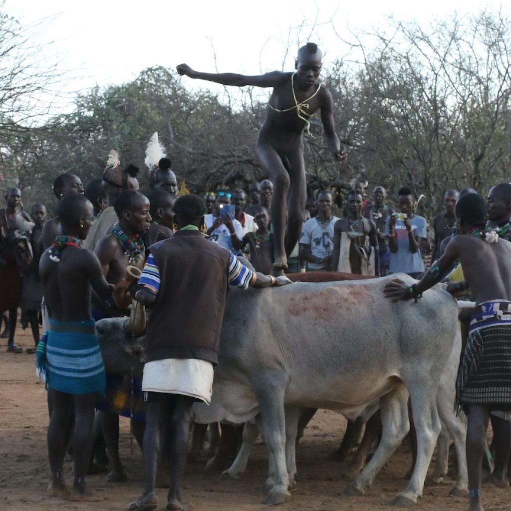 etiopia ethiopia exploringafrica safariadv travel omo valley dorze hamar kara dassanech konso ssanech konso 