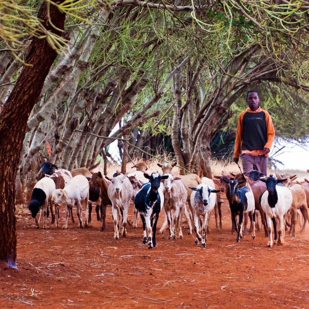 mbulu iraqw people tanzania