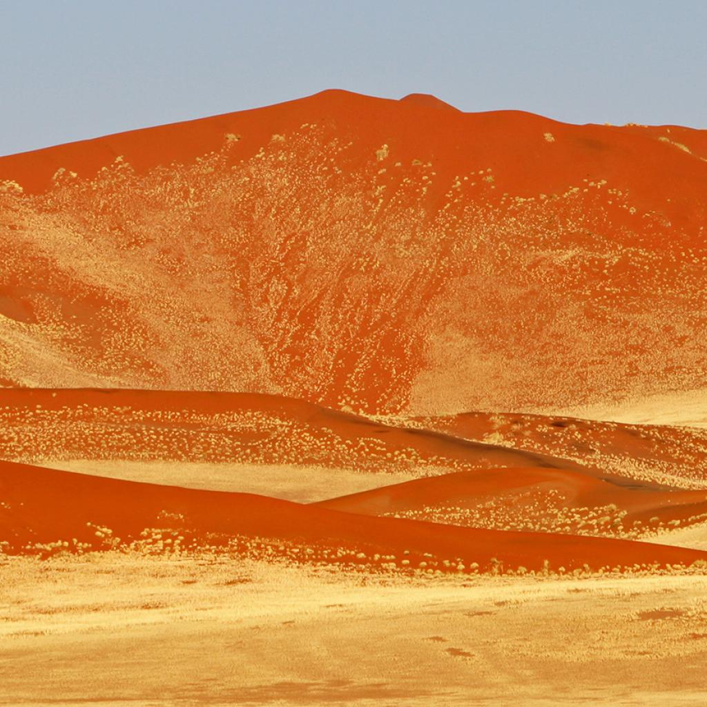 namib-naukluft national park namib desert namibia dune 