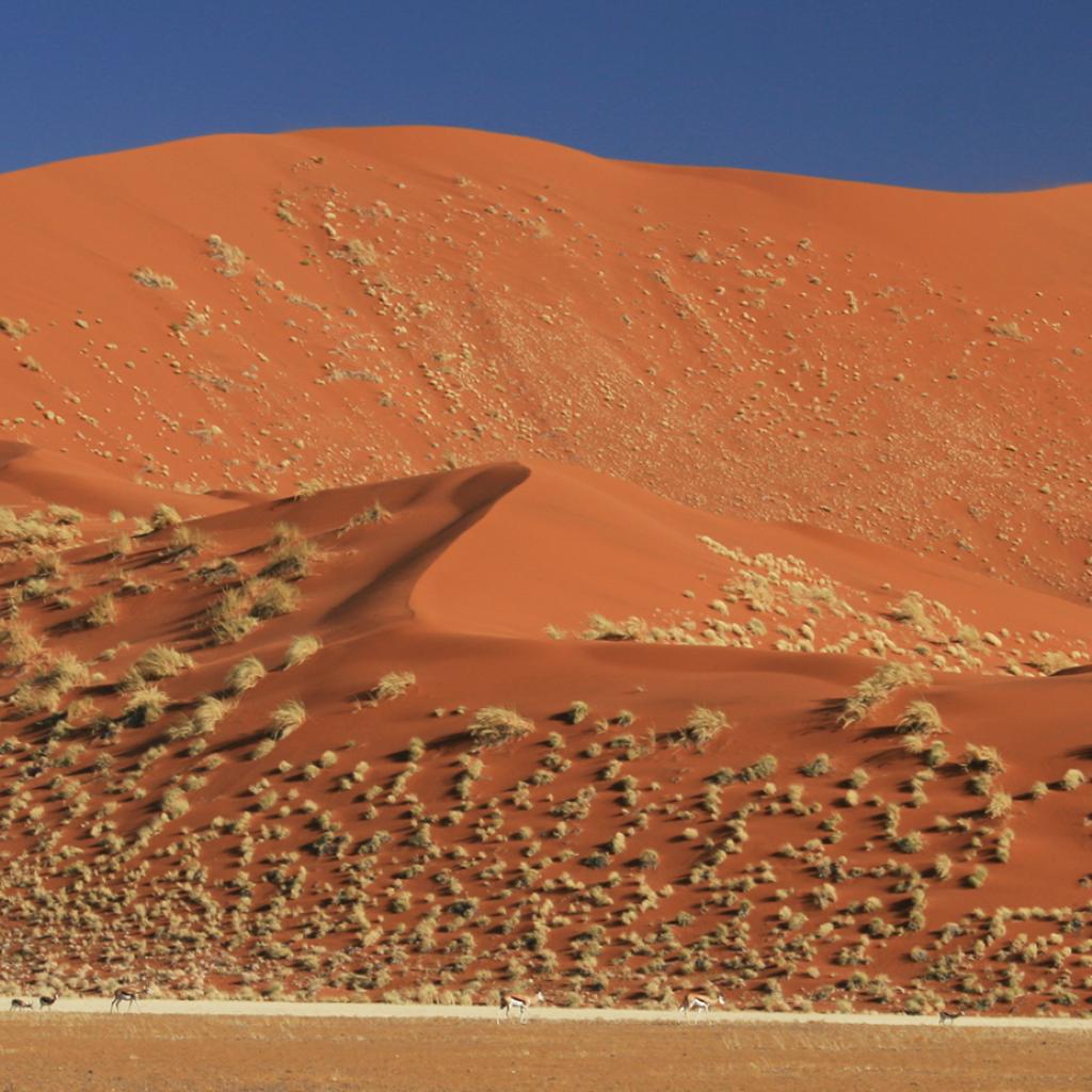 namib-naukluft national park namib desert namibia dune