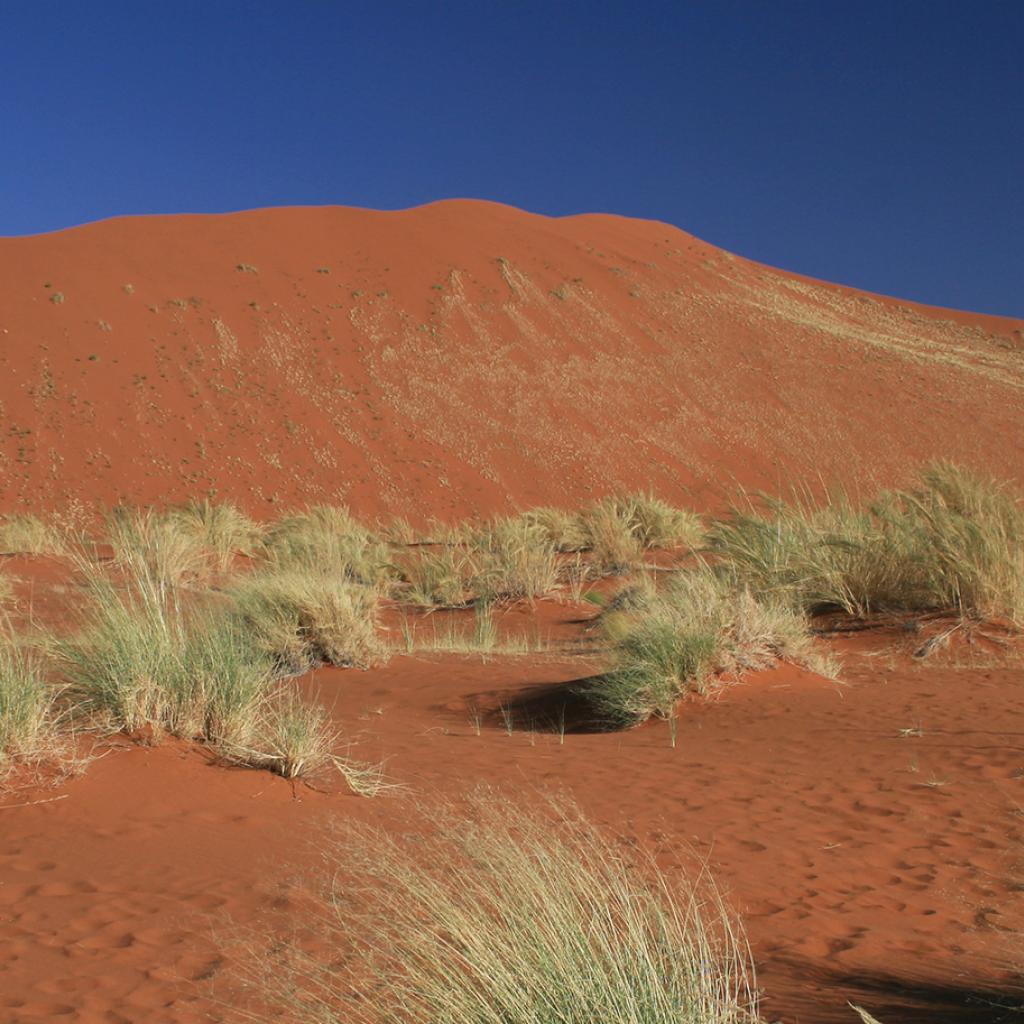 namib-naukluft national park namib desert namibia dune