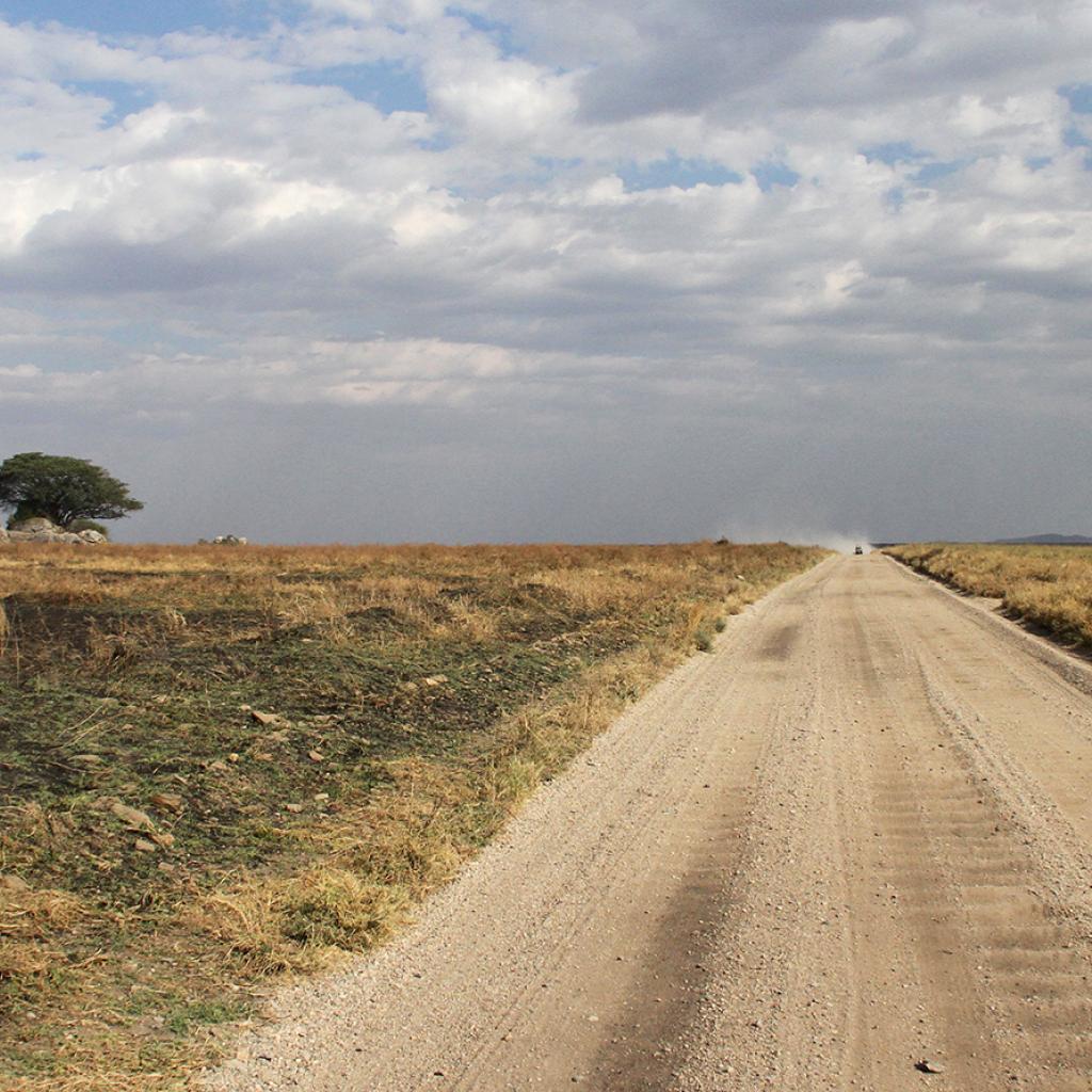 Driving through Serengeti National Park 