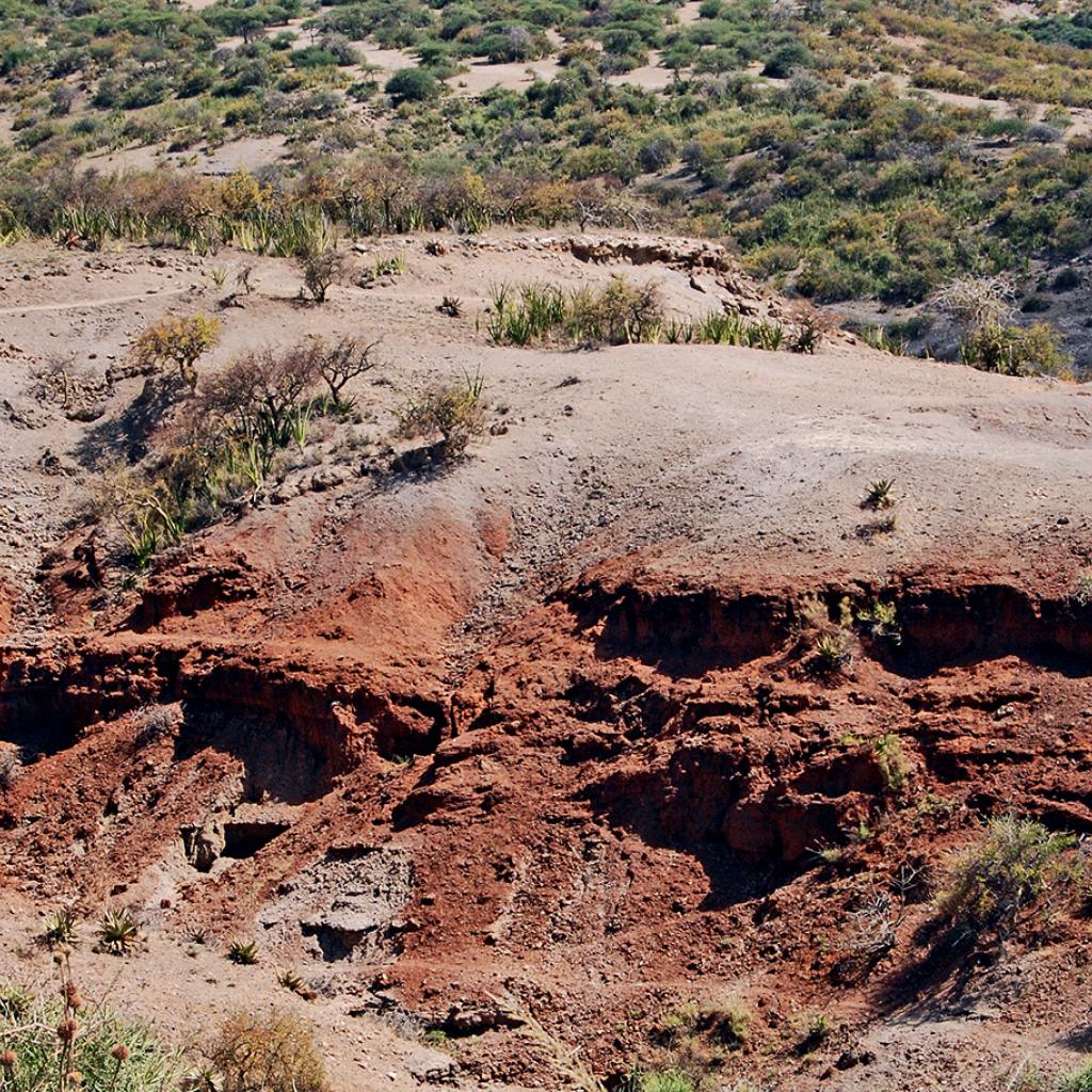 Olduvai Gorge: the origins of humankind