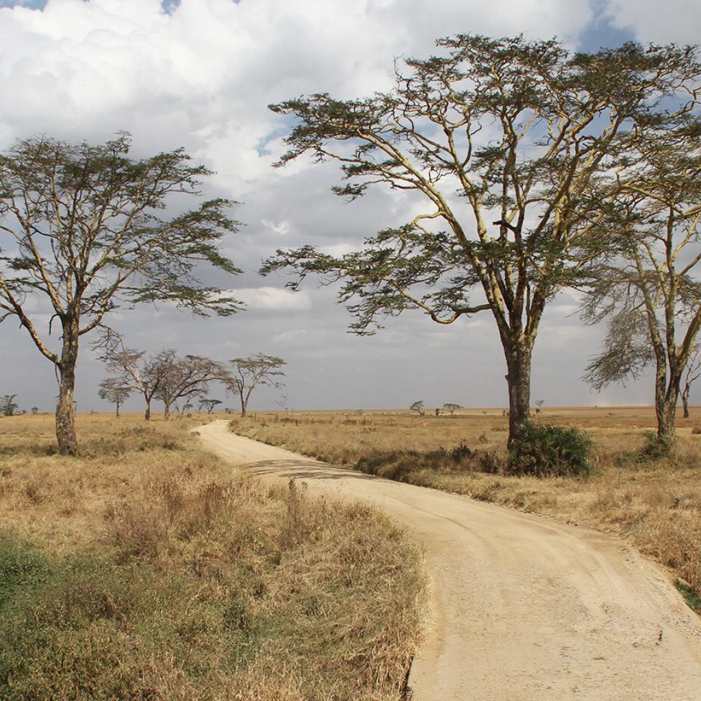 Serengeti National Park: Seronera Valley