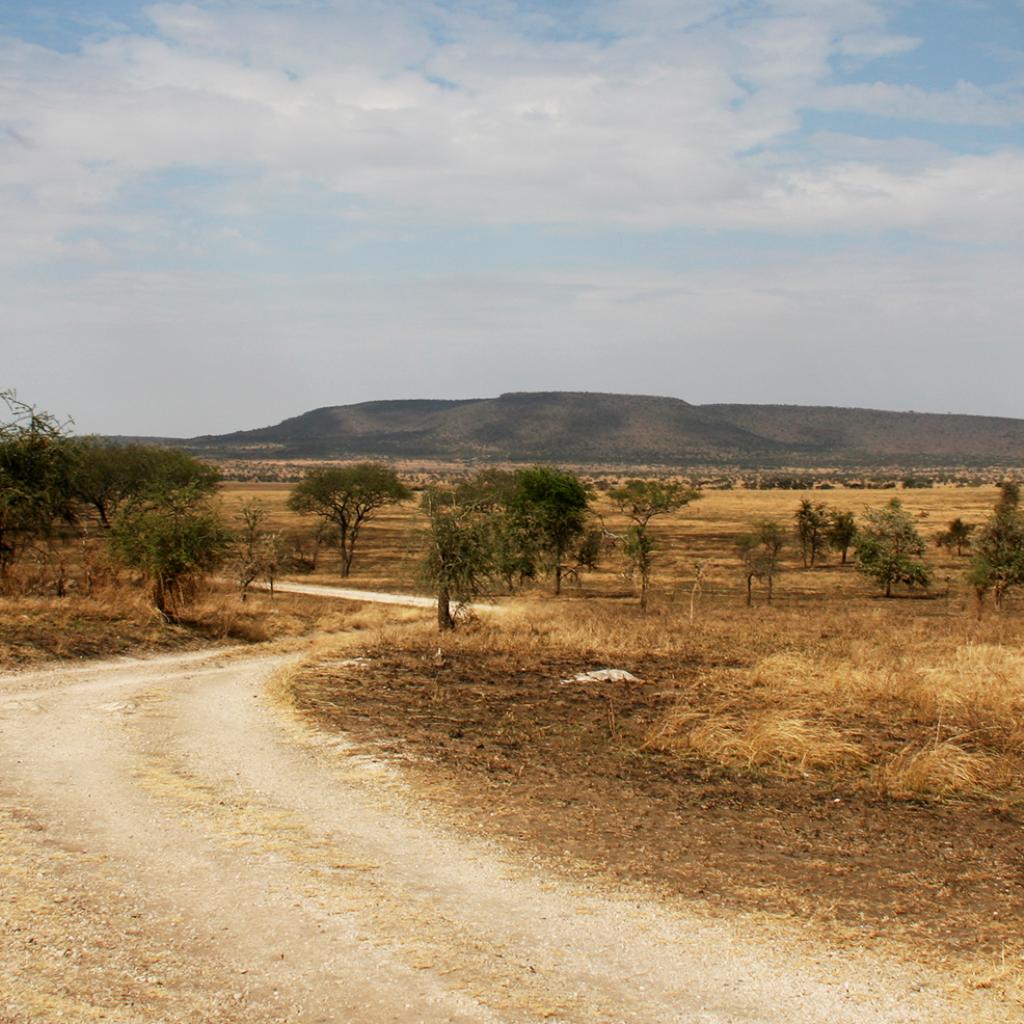 Serengeti National Park: Makoma Hill driving