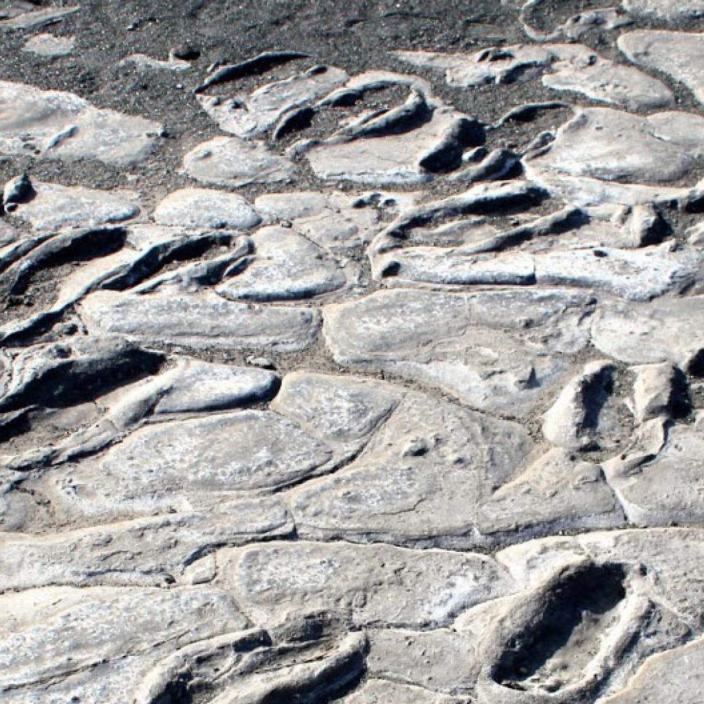 tanzania romina facchi africa exploringafrica laetoli olduvai gorge