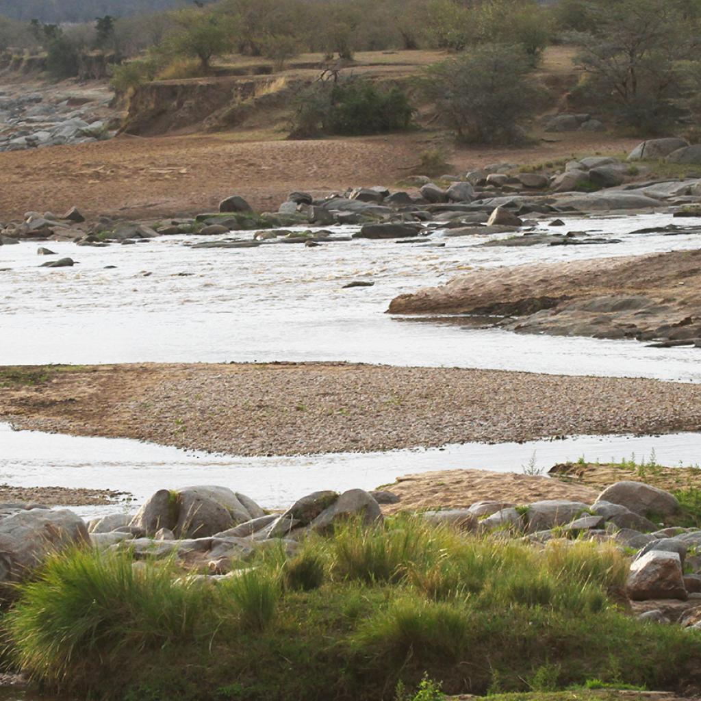 Serengeti National Park: Giraffes at Lamai Triangle 