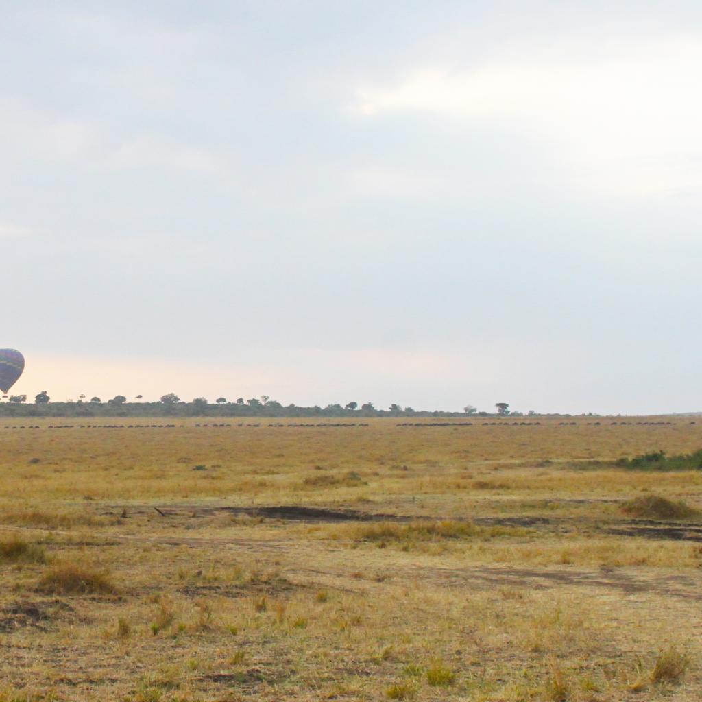 masai mara exploringafrica savannah romina facchi safariadv great migration air balloon