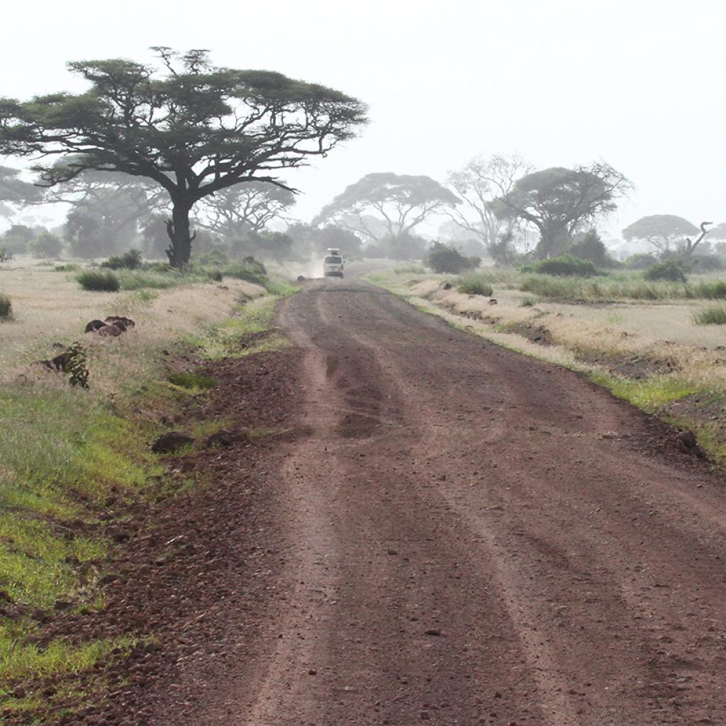 a road in Amboseli National Park