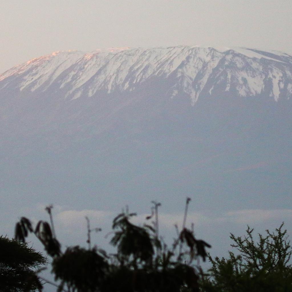 amboseli kenya romina facchi exploringafrica safariadv africa kilimanjaro