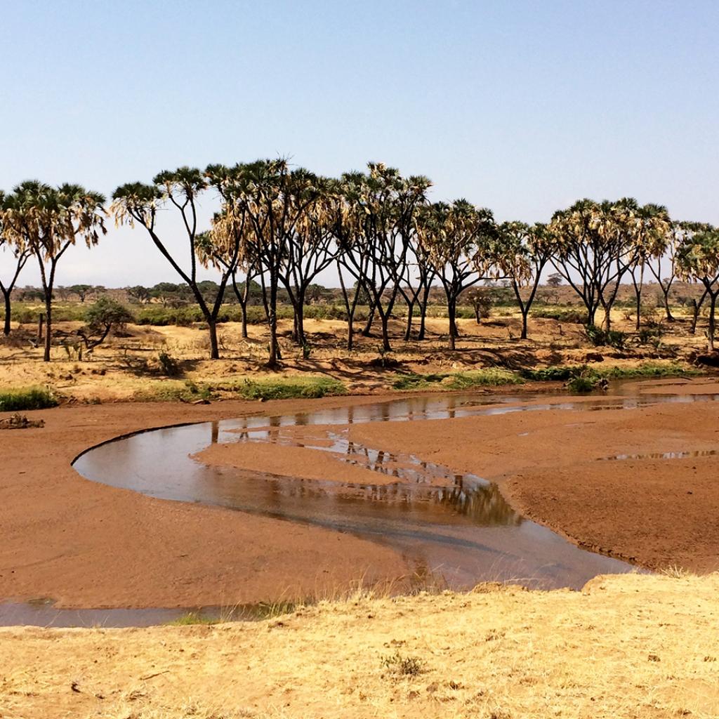Samburu National Reserve the river
