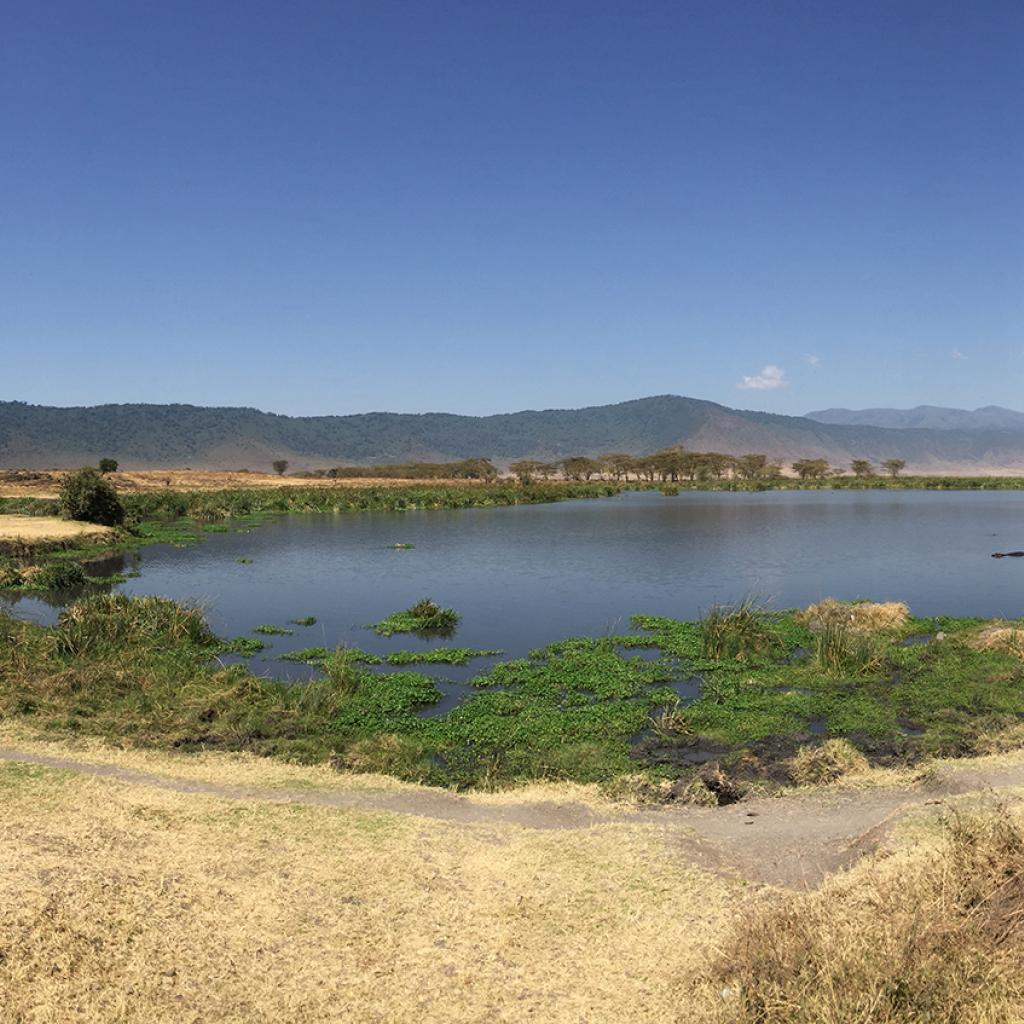 Ngorongoro Conservation Area