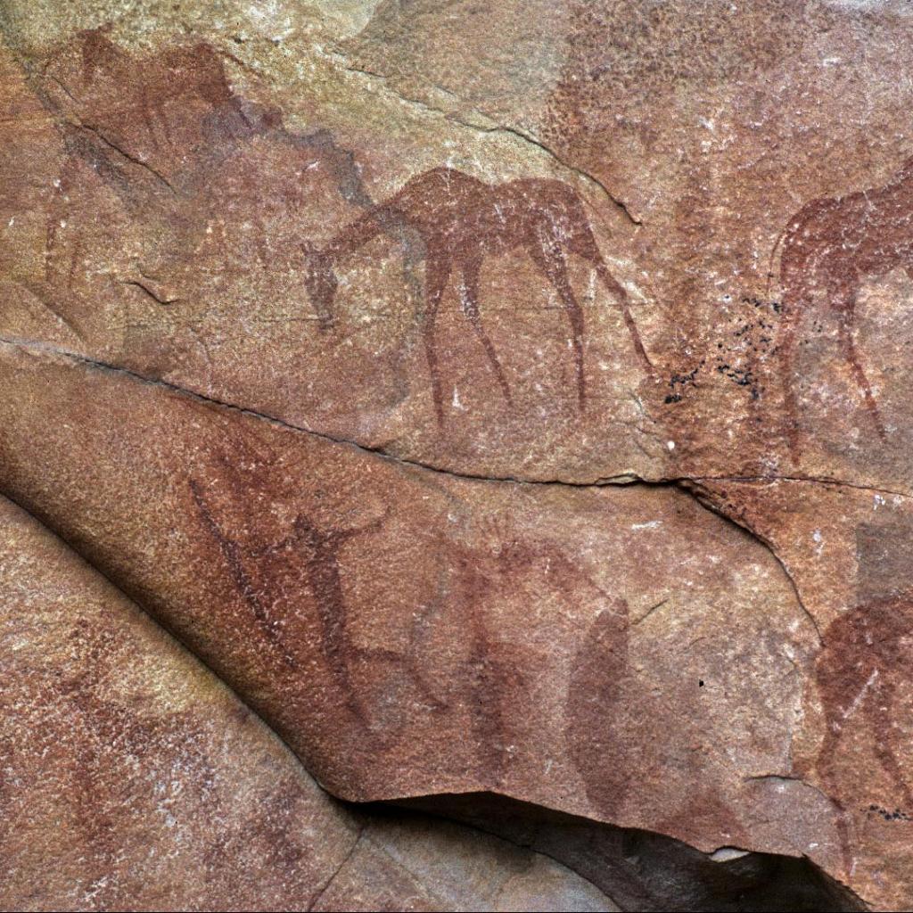 zimbabwe petroglyph history san 