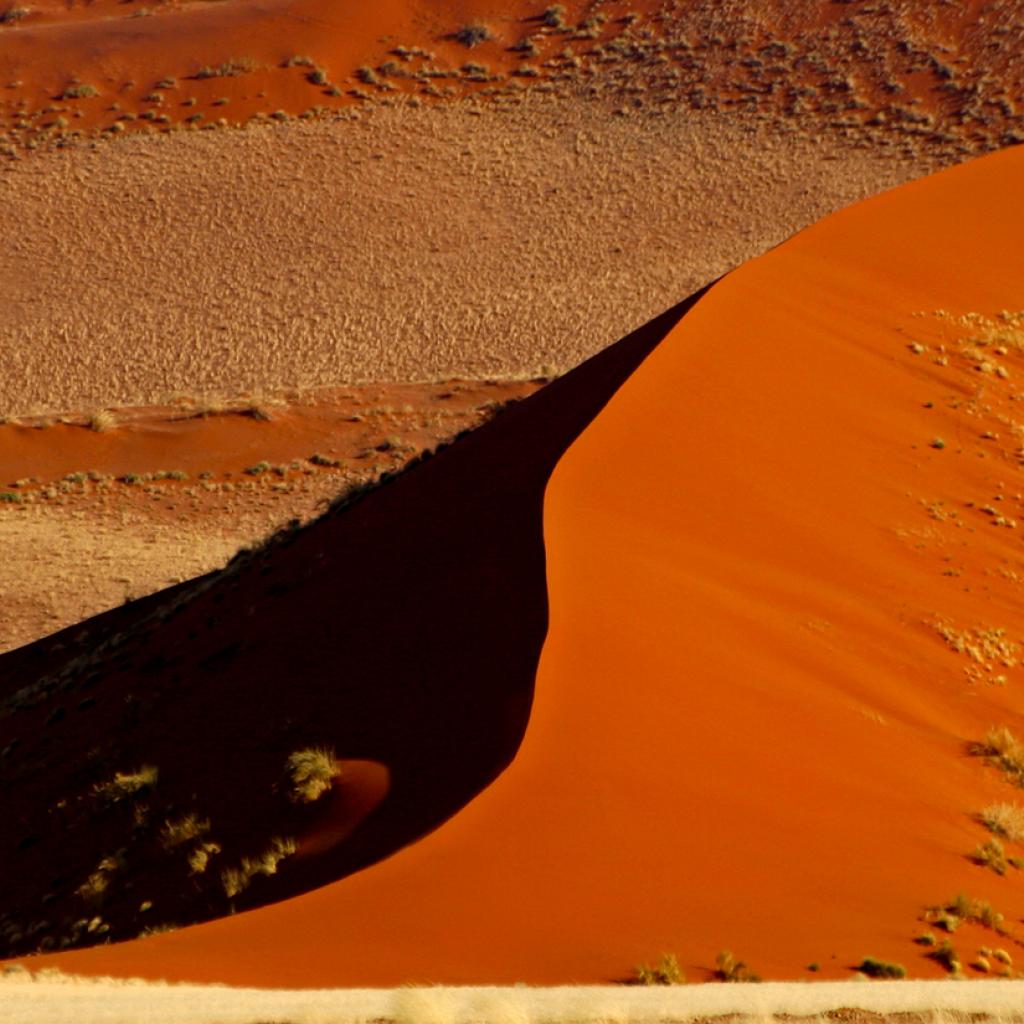 Dune 45 Namib Desert Namibia Africa Naukluft exploringafrica safariadv travel viaggi