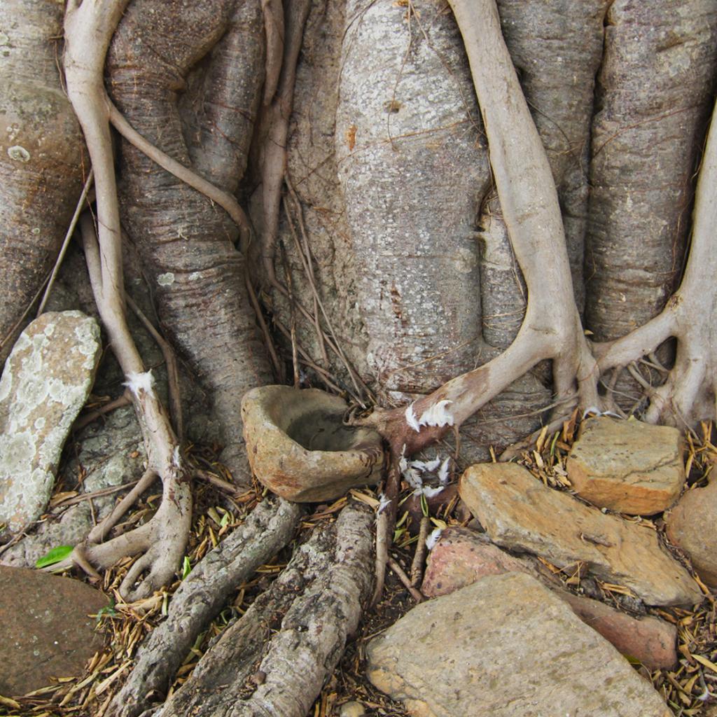 Benin: Taneka village - Photo Credits: Romina Facchi taneka benin exploringafrica safariadv travel viaggi etnich romina facchi africa