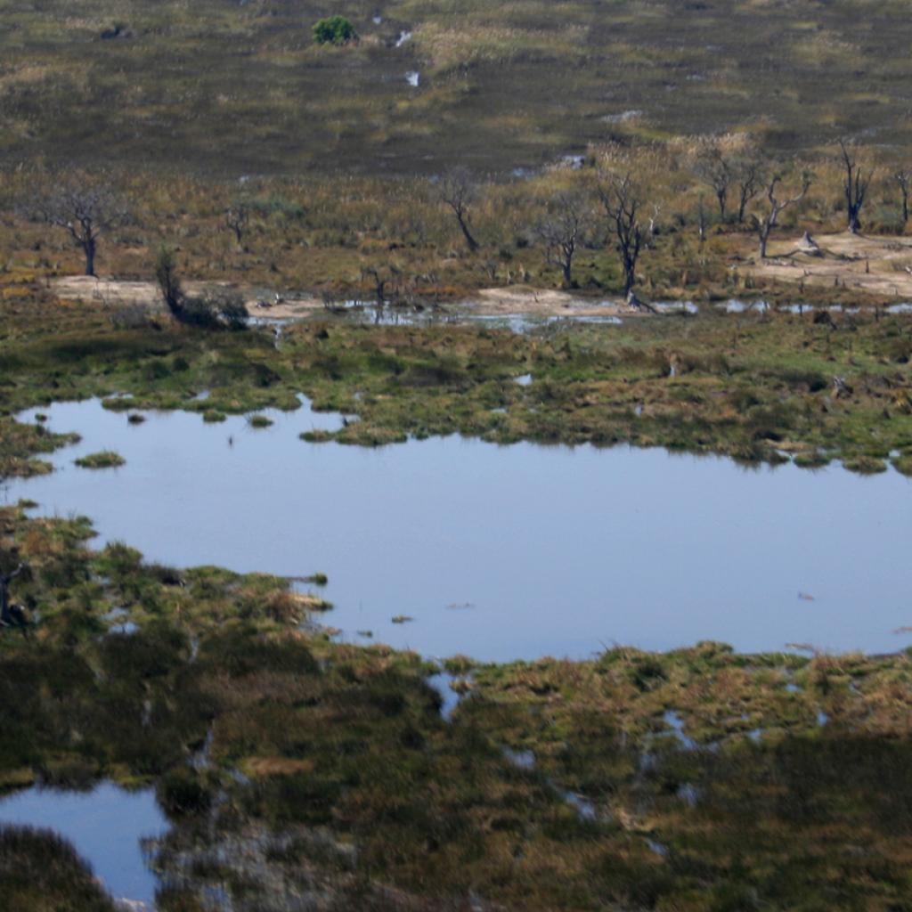 okawango delta exploringafrica safariadv romina facchi travel viaggi