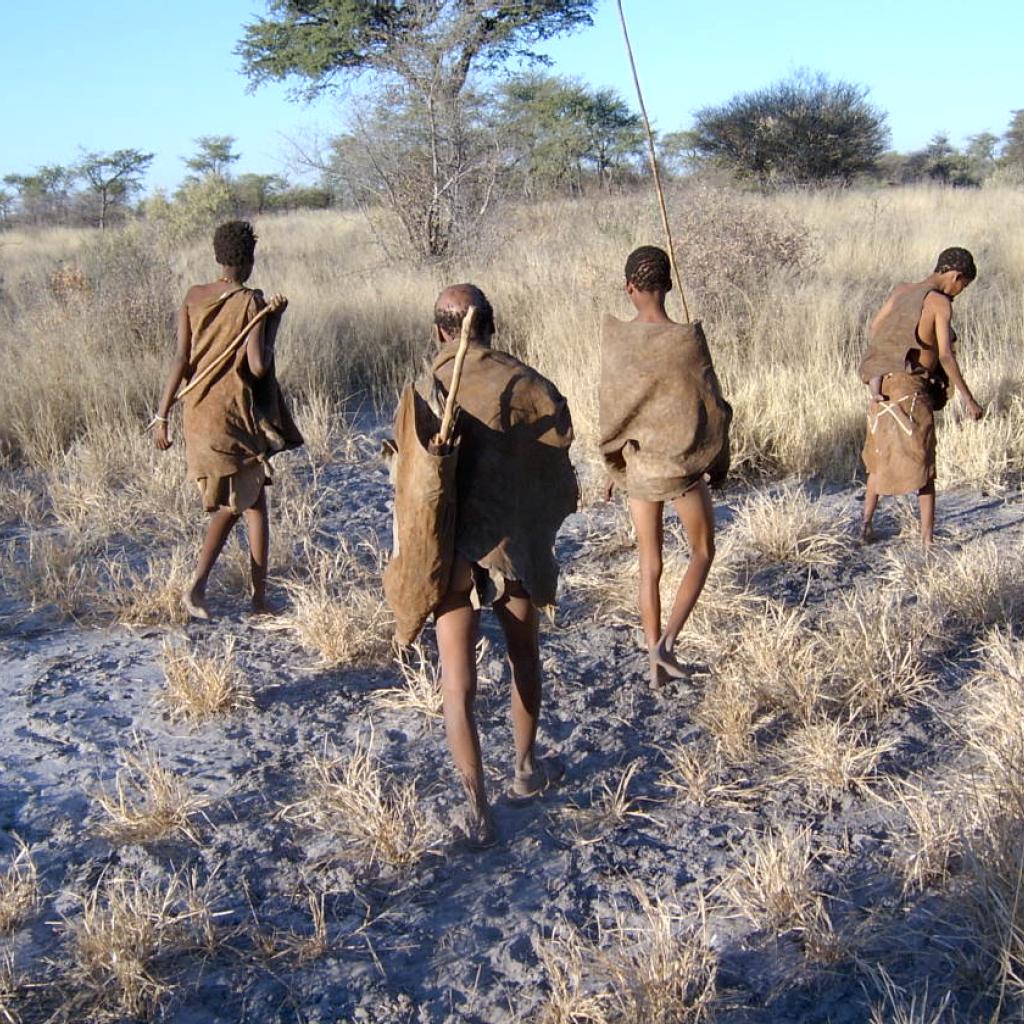 San Or Bushmen Exploring Africa