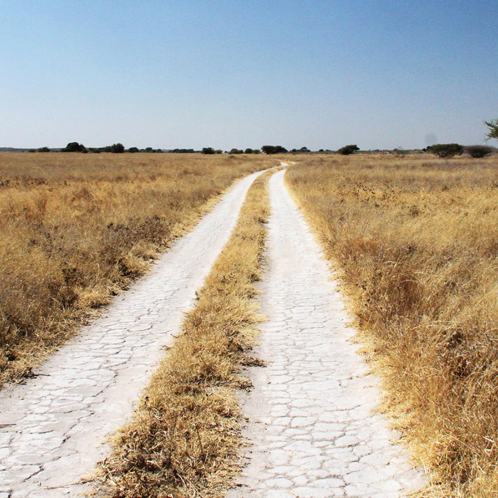 central kalahari ckgr exploringafrica safariadv romina facchi botswana desert