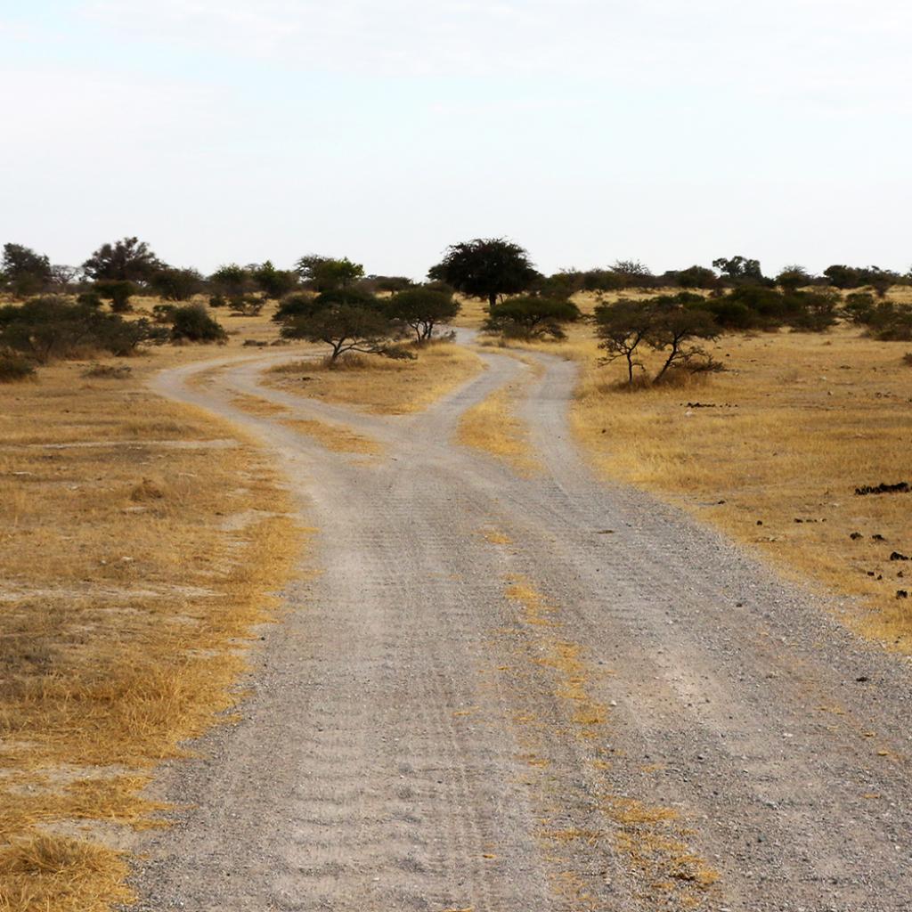 exploringafrica safariadv romina facchi botswana travel