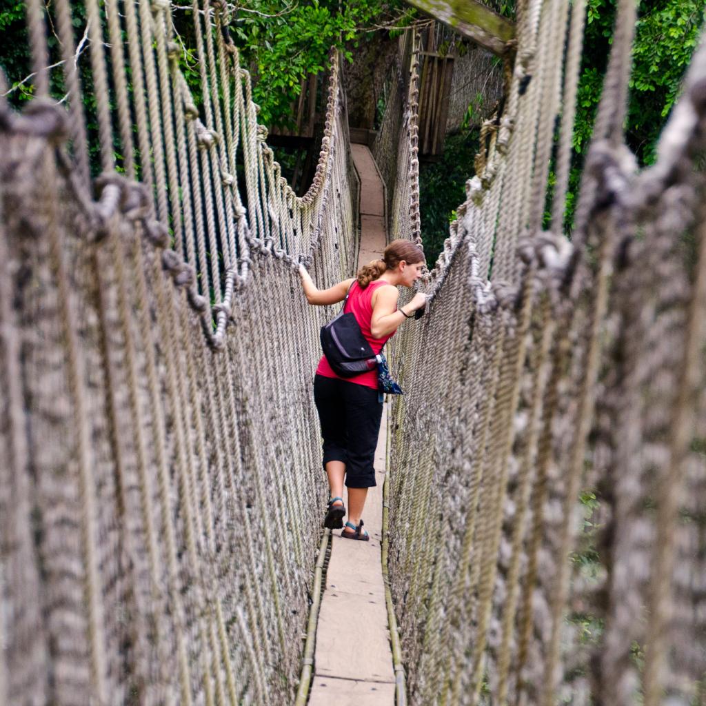 Kakum National Park: Canopy walkway - Photo Credits: Crosby_cj ghana west africa exploringafrica safariadv romina facchi travel kakum