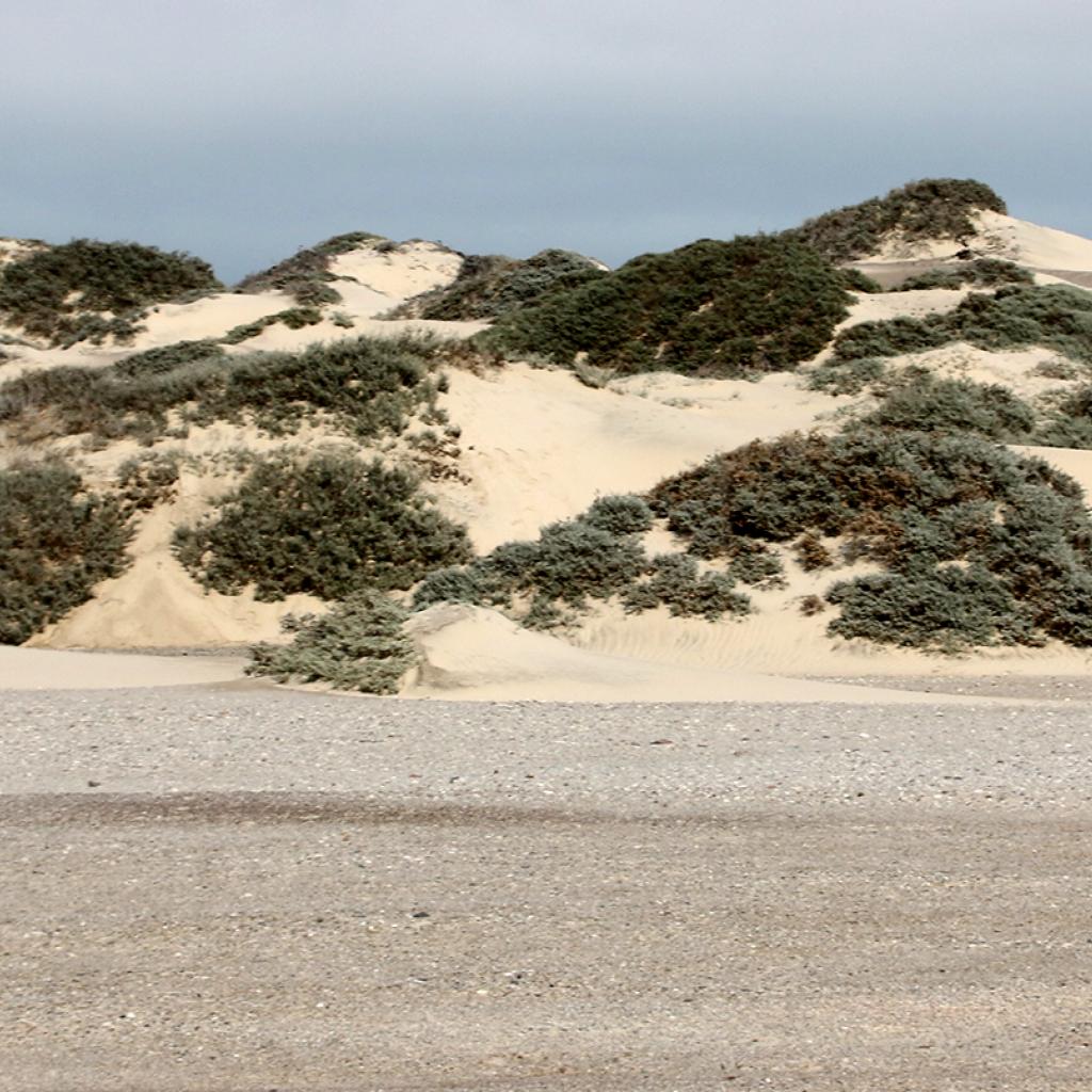 skeleton coast namibia exploringafrica SafariADV romina facchi travel safari africa