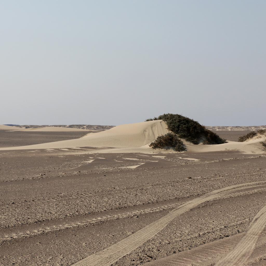 skeleton coast namibia exploringafrica SafariADV romina facchi travel safari africa