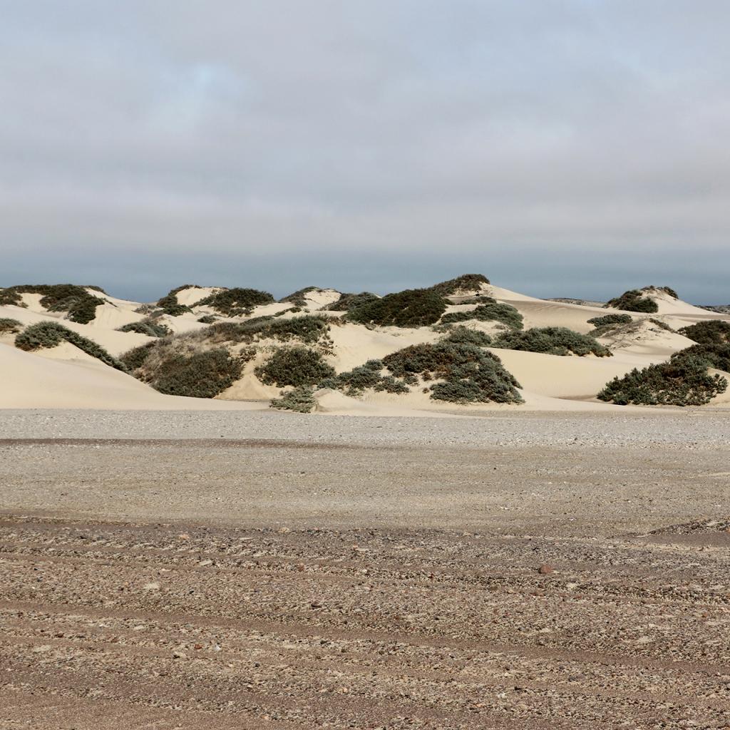 skeleton coast namibia exploringafrica SafariADV romina facchi travel safari africa