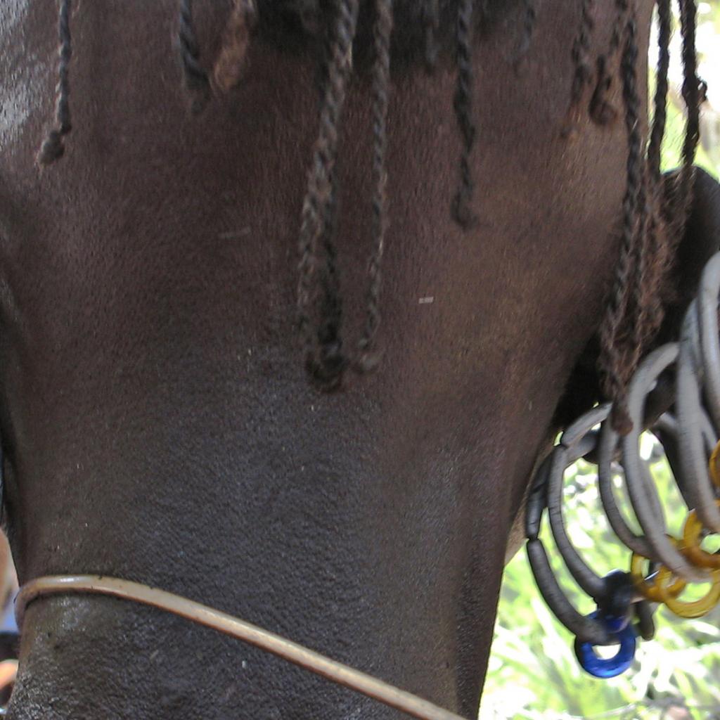 turkana woman with lots of earrings