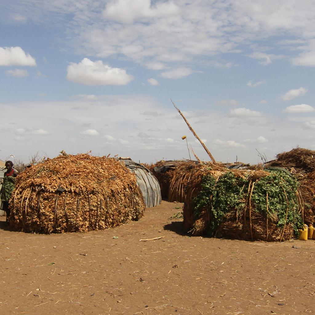 etiopia ethiopia exploringafrica safariadv travel omo valley mursi hamar kara dassanech konso 