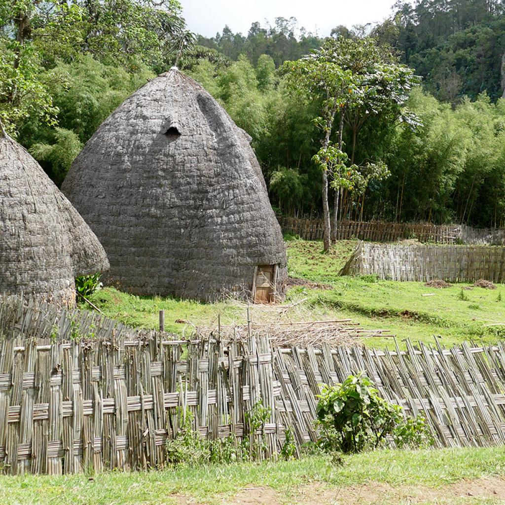 dorze village ethiopia