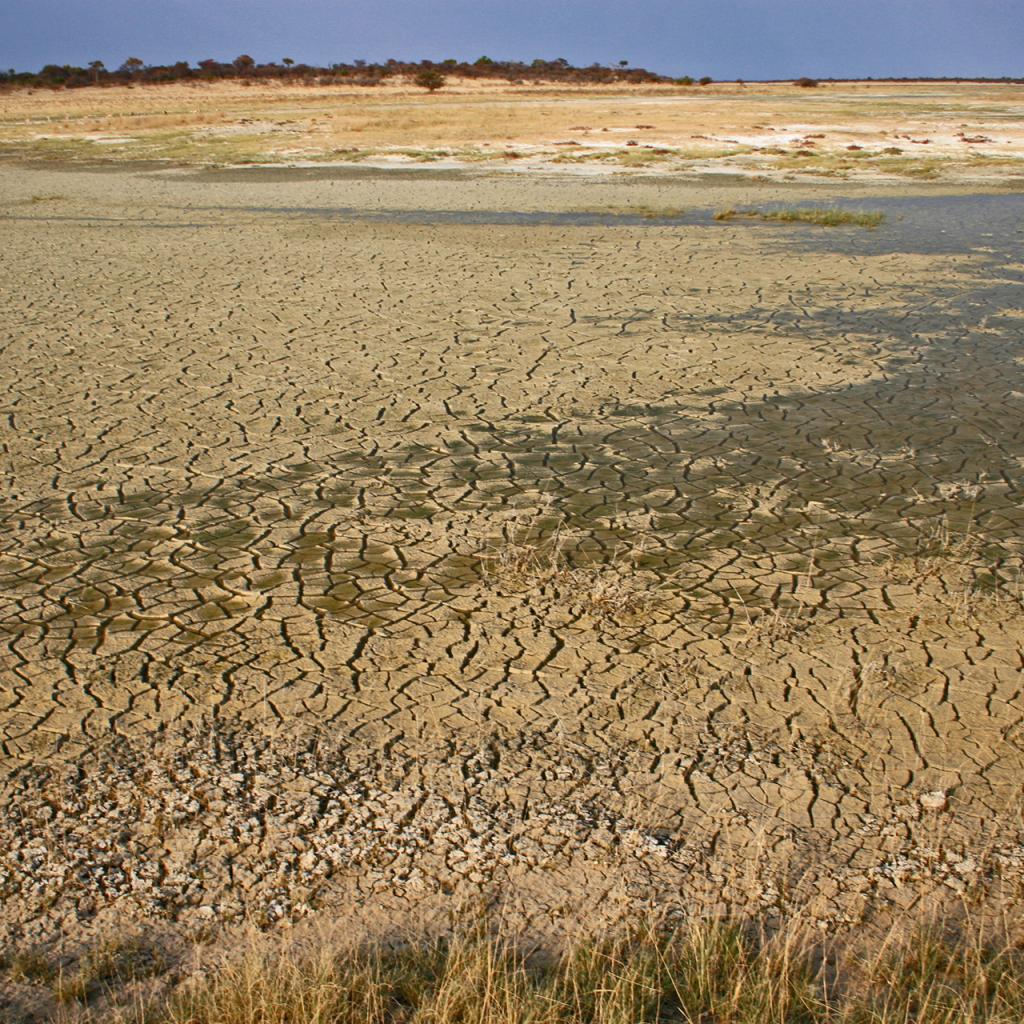 etosha pan romina facchi exploringafrica safariadv travel viaggi