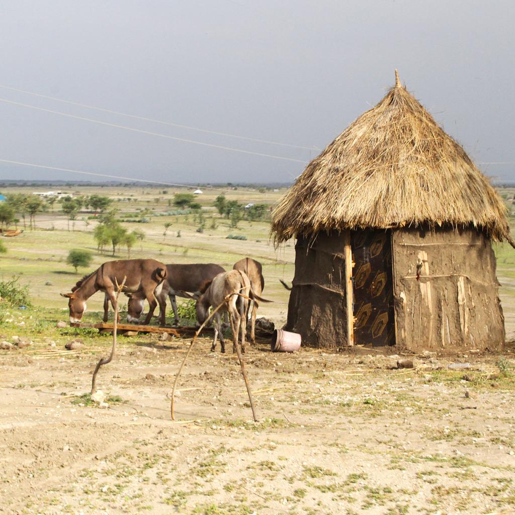 tanzania ngorongoro serengeti tarangire manyara exploringafrica safariadv romina facchi travel safari