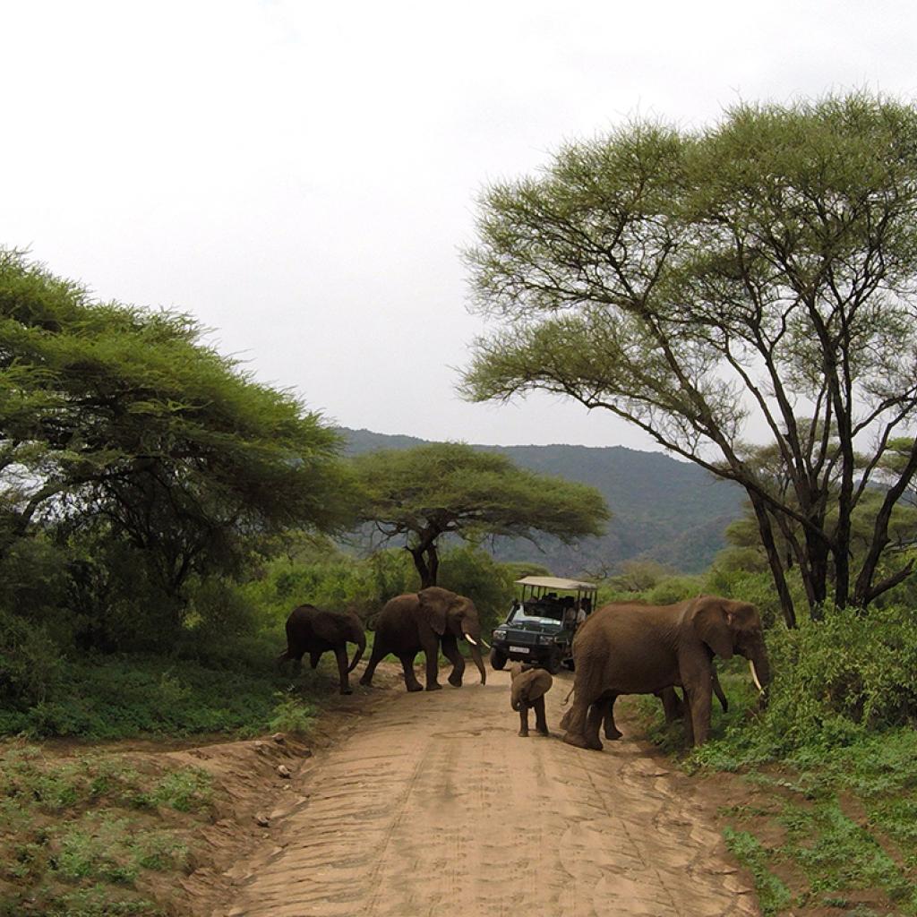 tanzania ngorongoro serengeti tarangire manyara exploringafrica safariadv romina facchi travel safari