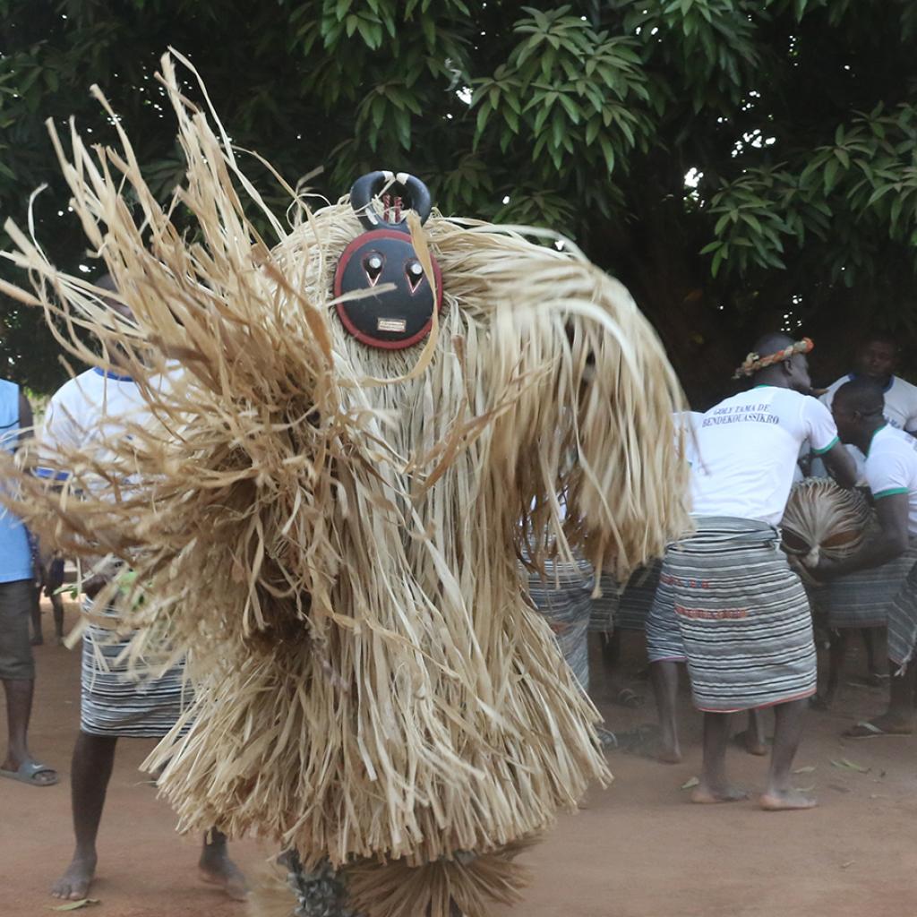 costa d'avorio ivory coast romina facchi exploringafrica safariadv west africa 