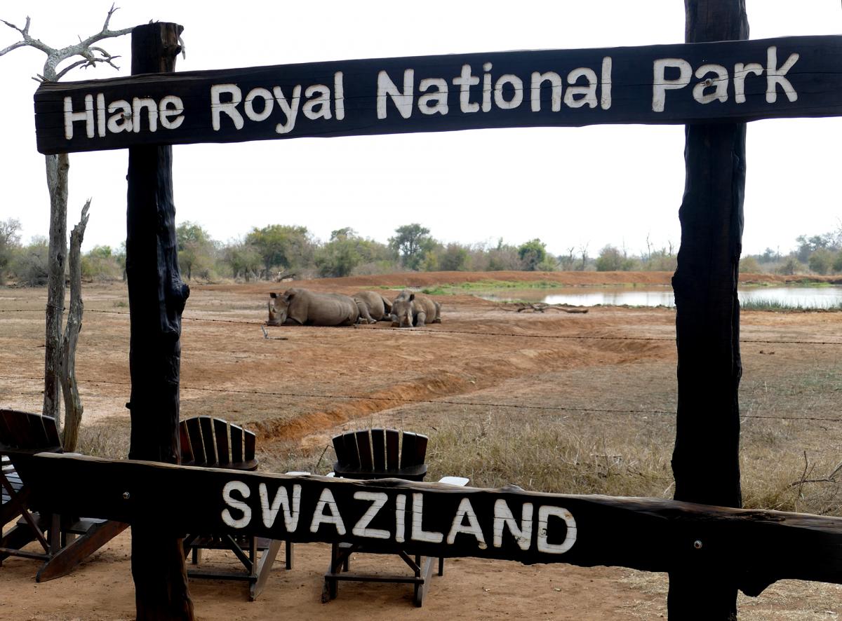 swaziland exploringafrica safariadv romina facchi travel safari africa