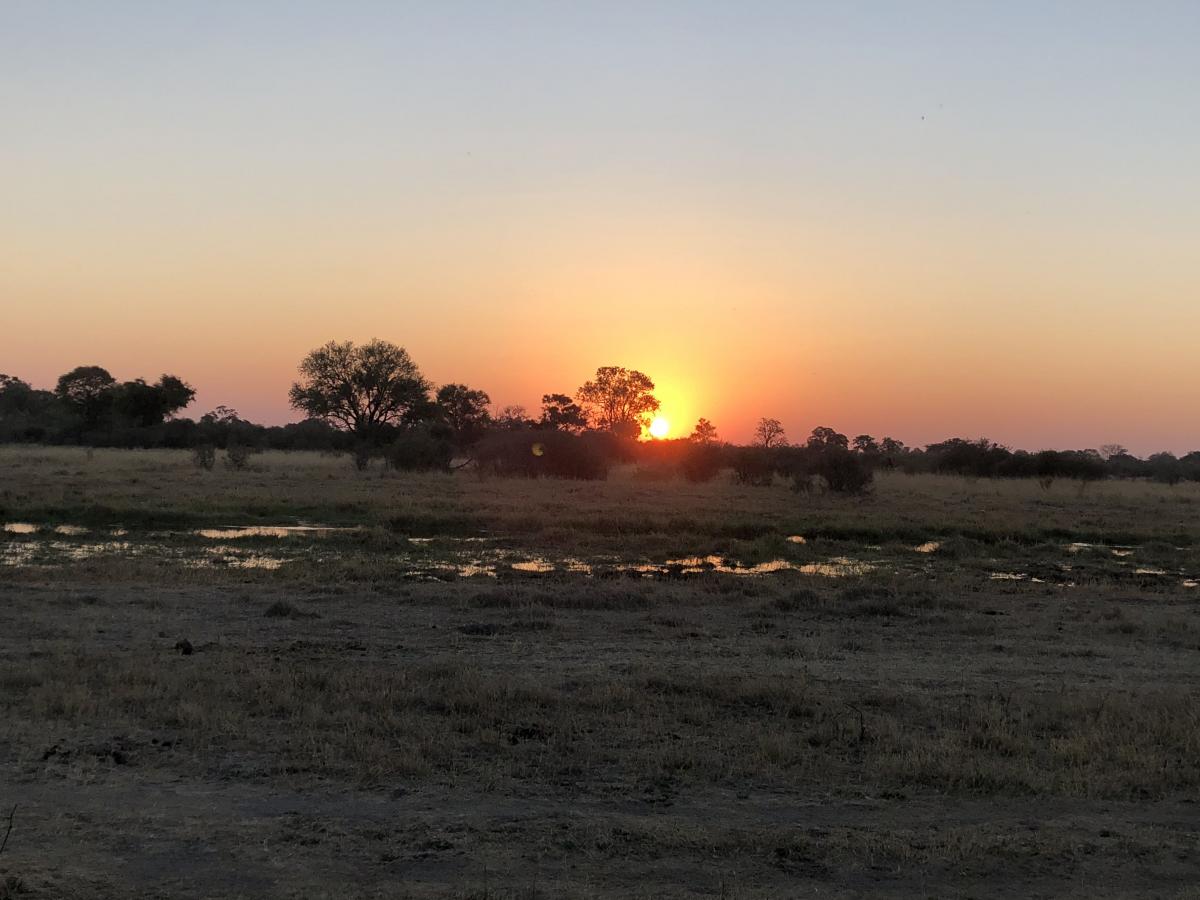 moremi botswana sunset tramonto