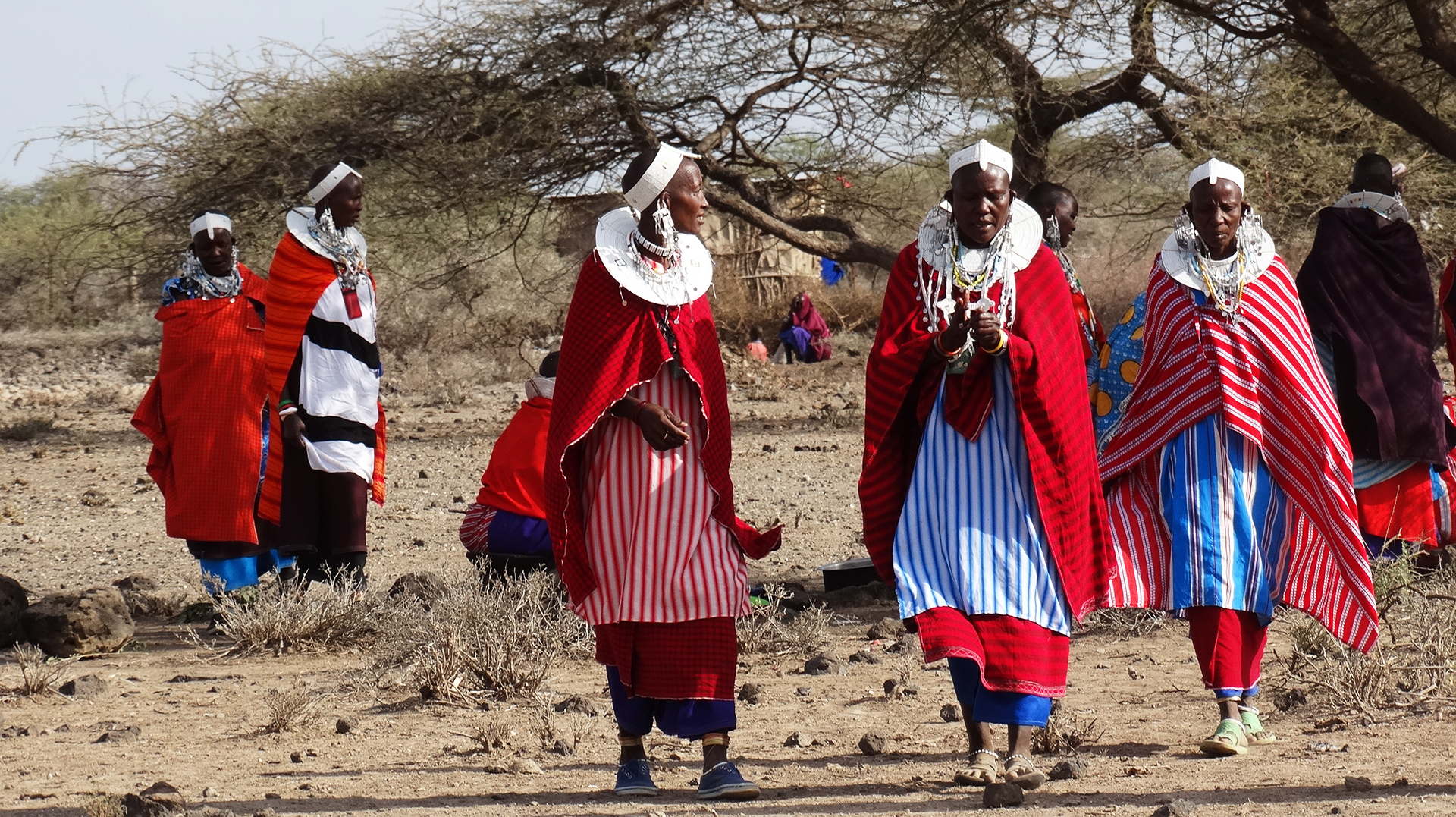 beautiful maasai female