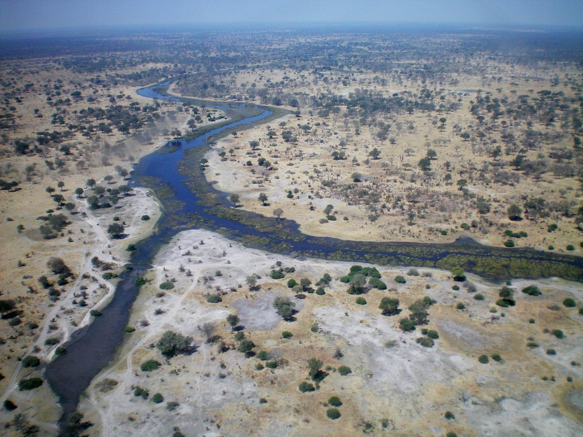 exploringafrica safariadv moremi botswana romina facchi