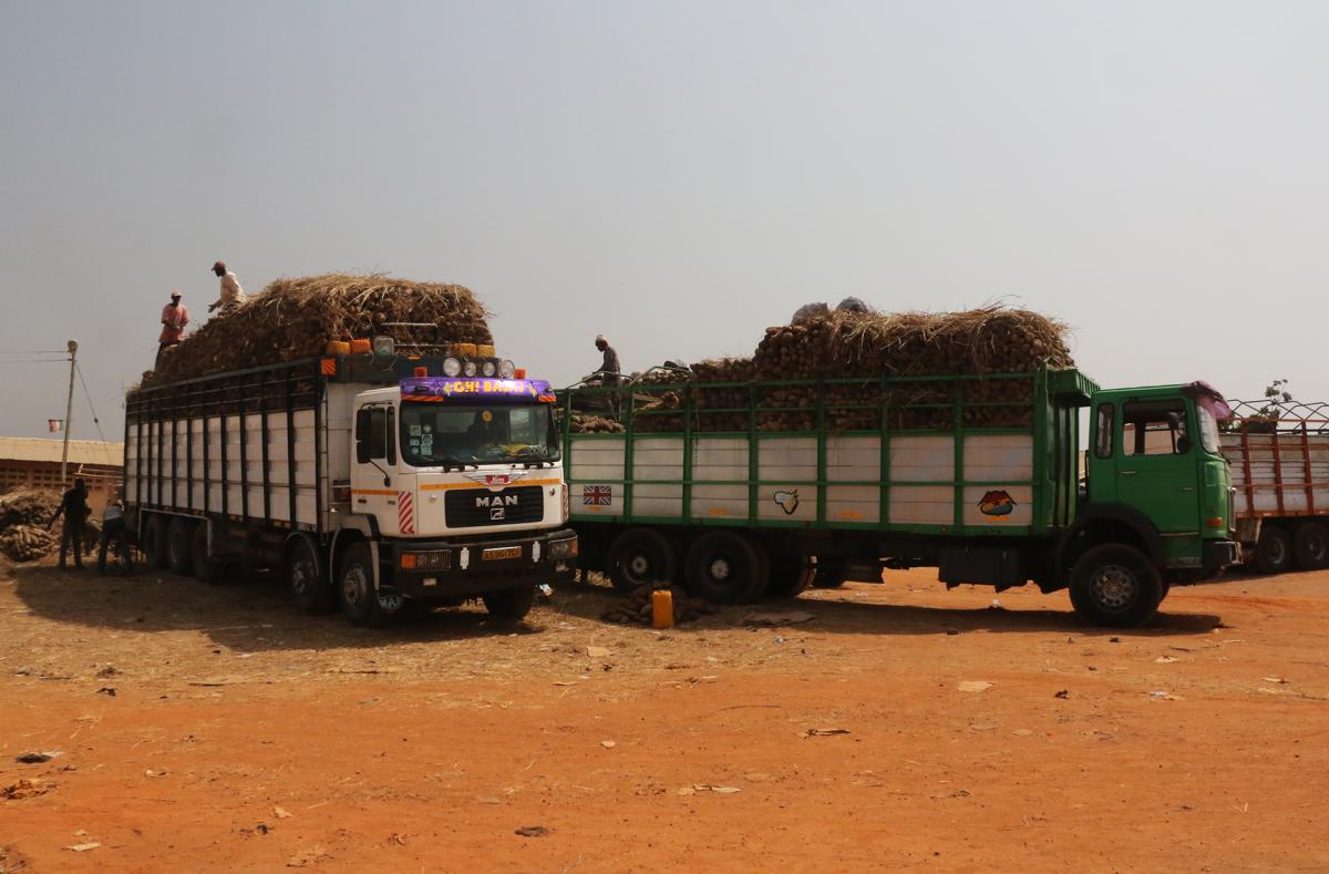 ghana yam konkomba